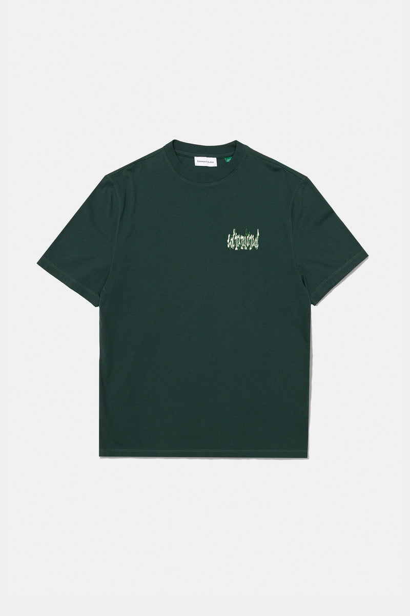 DEBUT DK GREEN